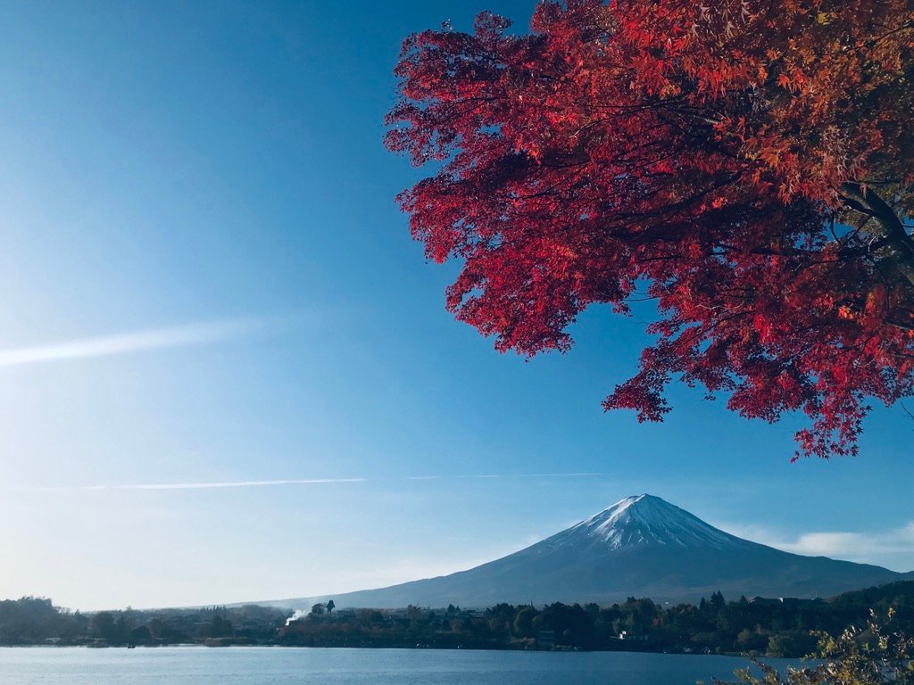 Mount Fuji in autumn, showcasing vibrant foliage against the majestic peak, creating a picturesque landscape.