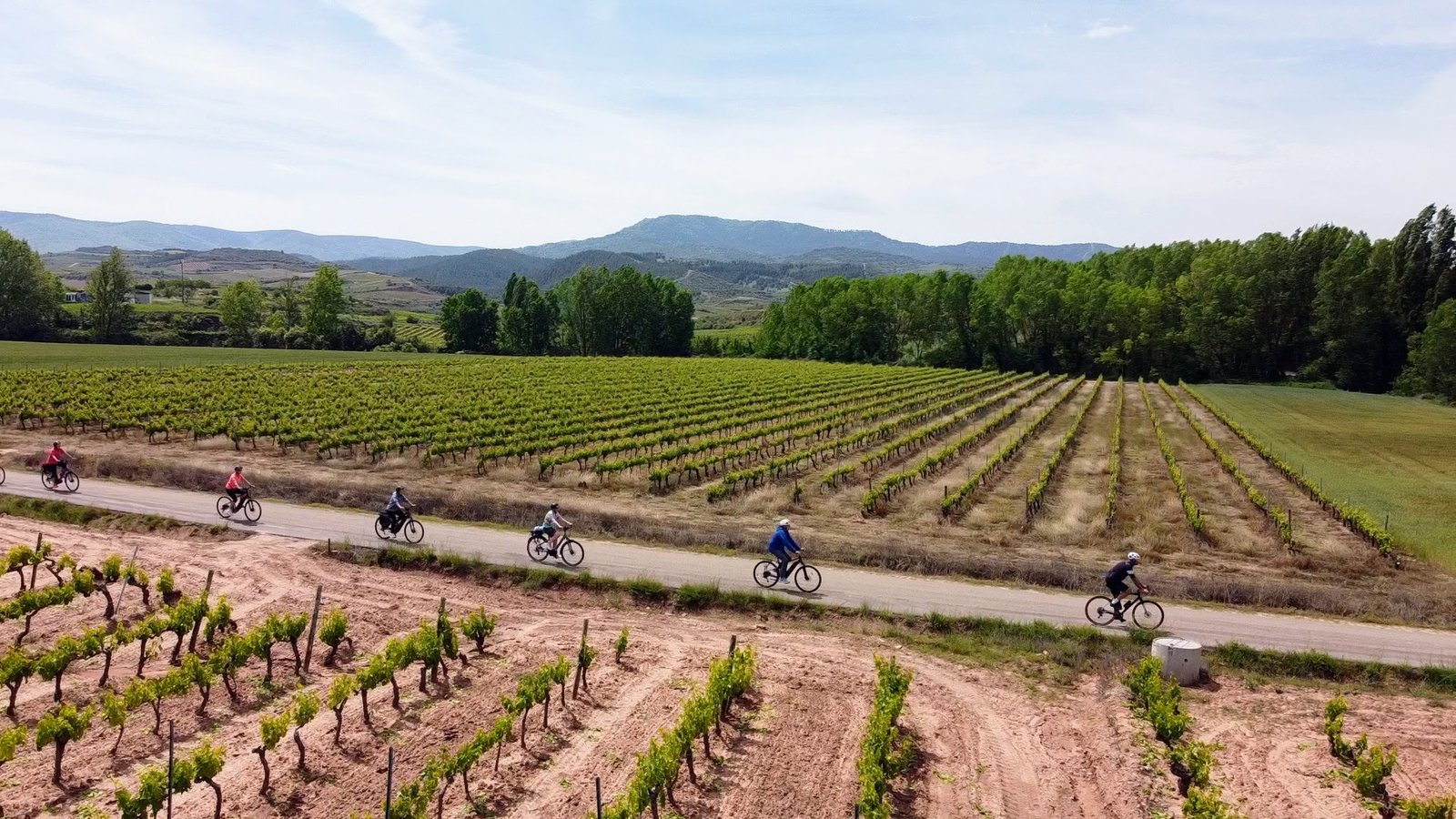 People cycling through vineyard, enjoying scenic views and fresh air.