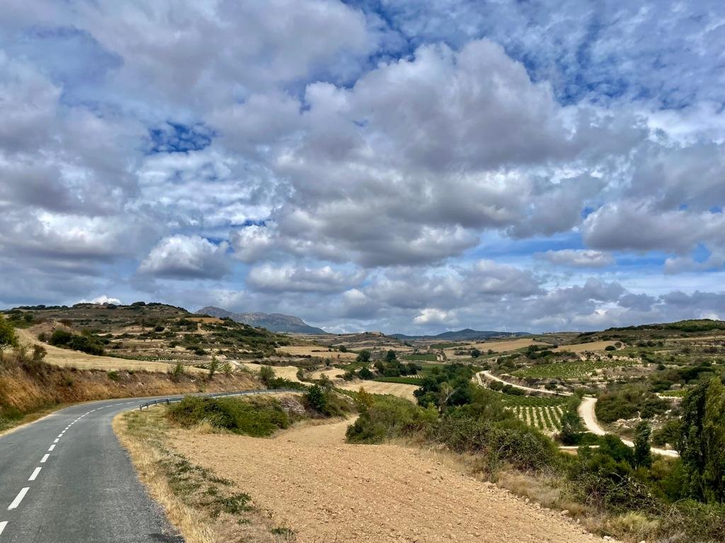 Rural road surrounded by green fields, vineyards and blue sky.