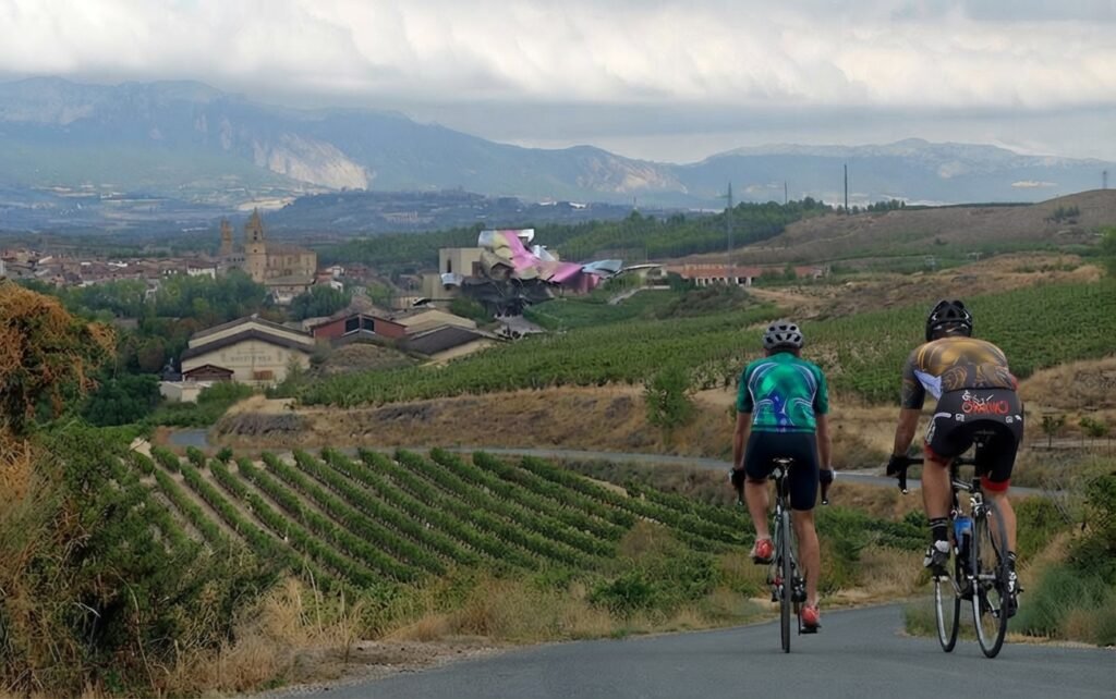 Visiting La Rioja During the Grape Harvest